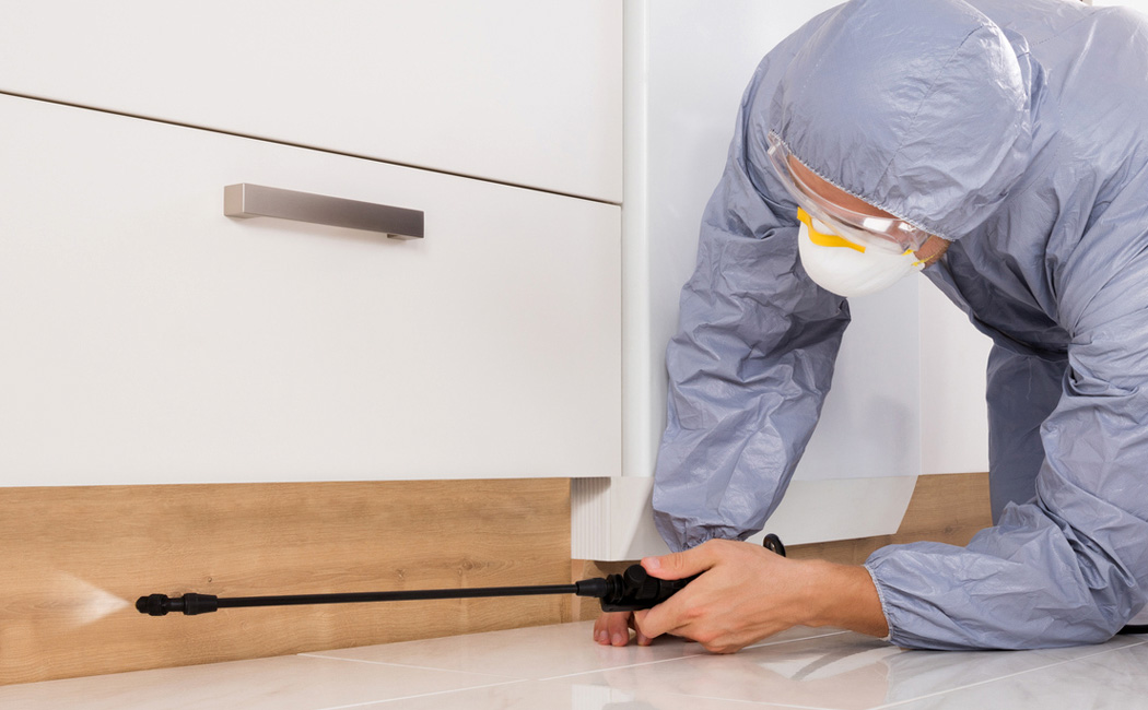 exterminator at work