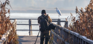 professional photographer