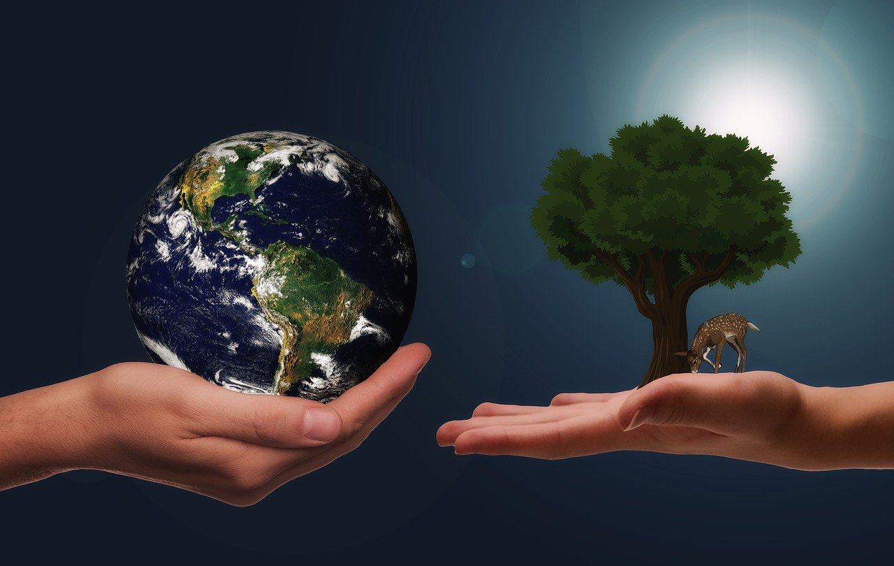 sustainable life